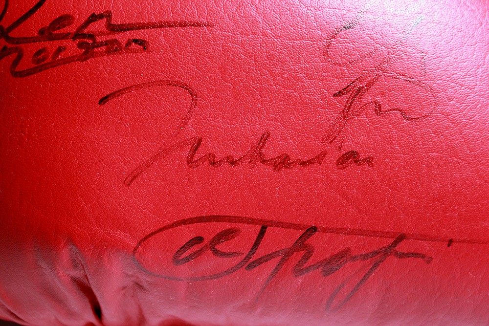BoxingGlove-Signed-Detail