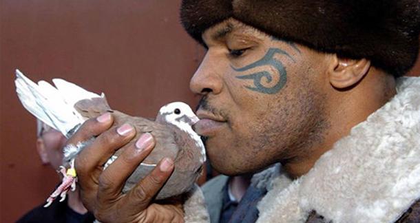 Mike Tyson Pigeons