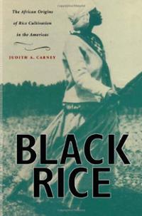 black-rice-african-origins-cultivation-in-americas-judity-a-carney-paperback-cover-art